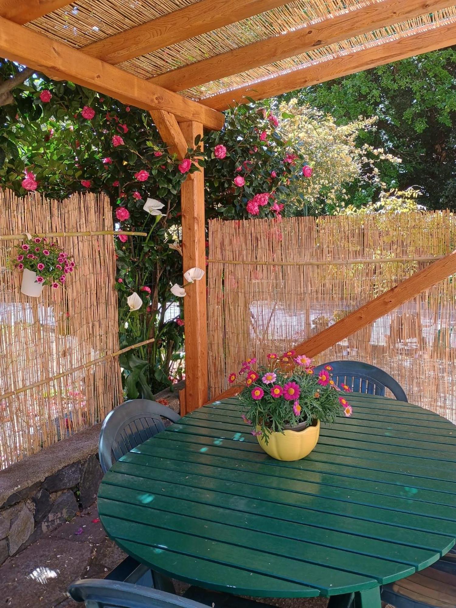 La Casa Dei Due Aranci Villa Albisola Superiore Bagian luar foto